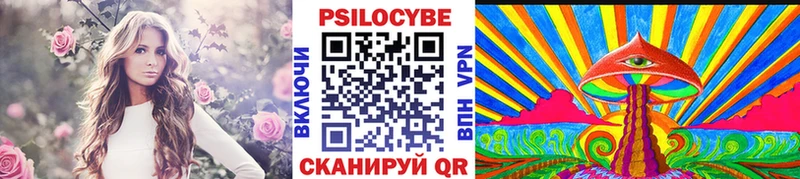 Купить где  Сковородино  Псилоцибиновые грибы мухоморы 